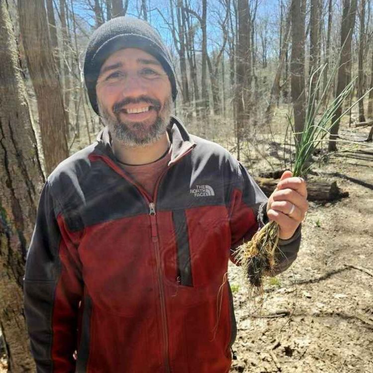 cover art for Backyard Foraging - Learn What's Edible!