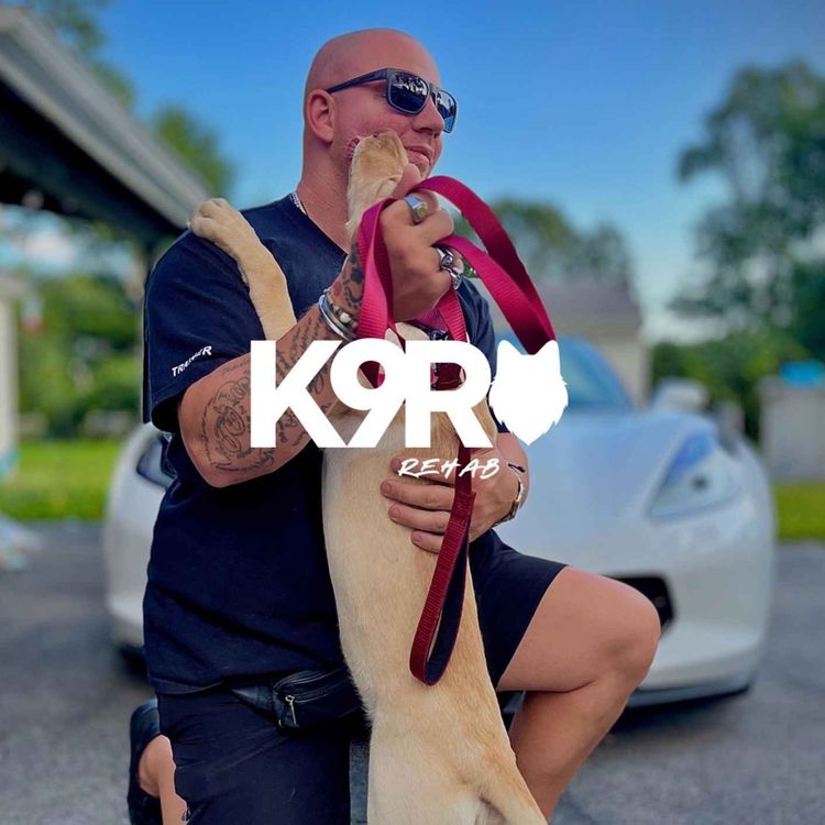 cover art for There Are No Bad Dogs