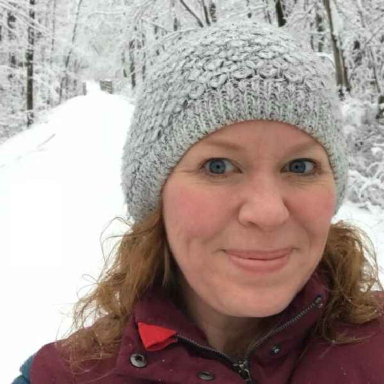 cover art for CT Is One Of The Most Forested States!