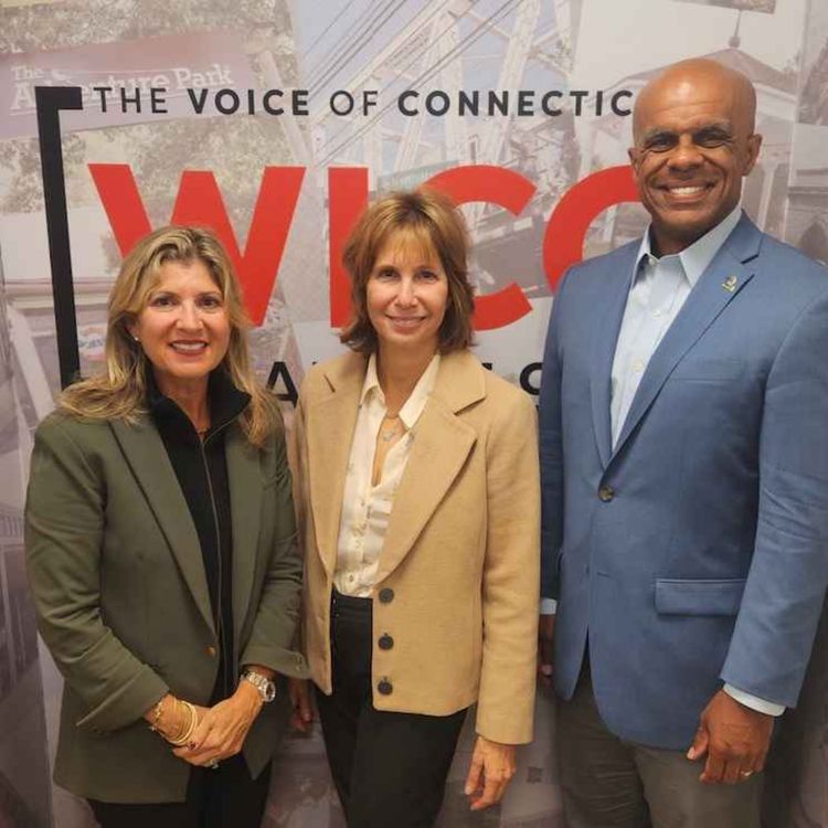 cover art for Christie & Wistreich for Westport Selectmen