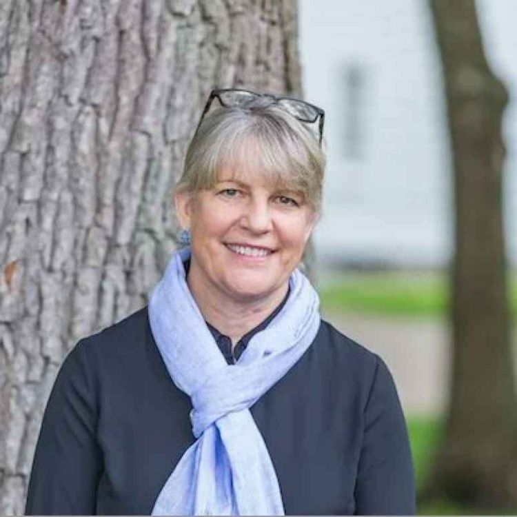 cover art for Creating a New Forest in Bridgeport