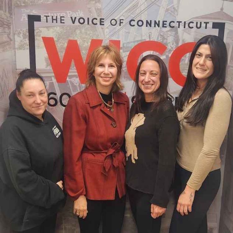 cover art for CT's Pet Abandonment Crisis