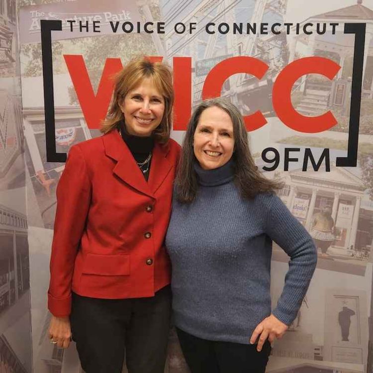 cover art for Lee Goldstein Is Running for CT's State Rep., 136th District