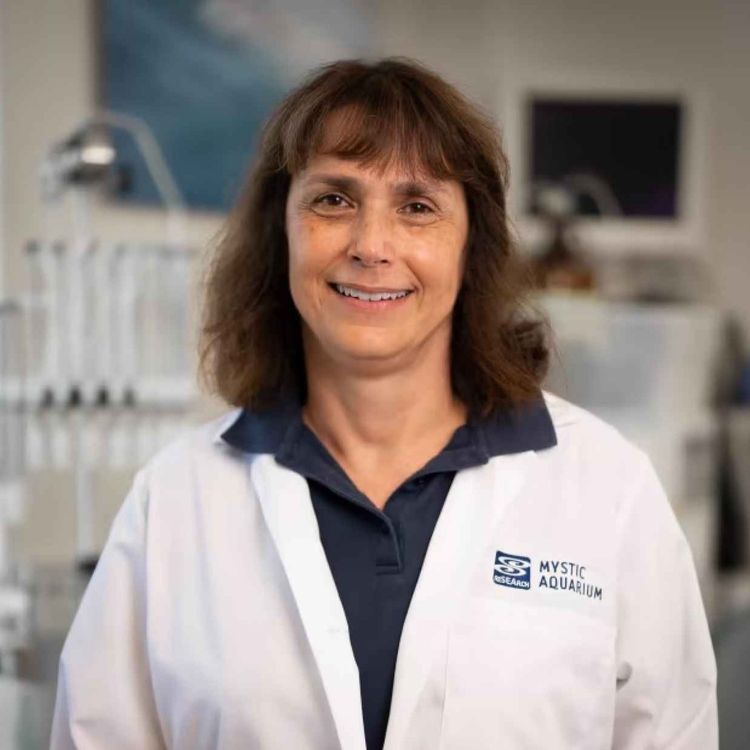 cover art for Hope for Belugas: Groundbreaking Research at Mystic Aquarium