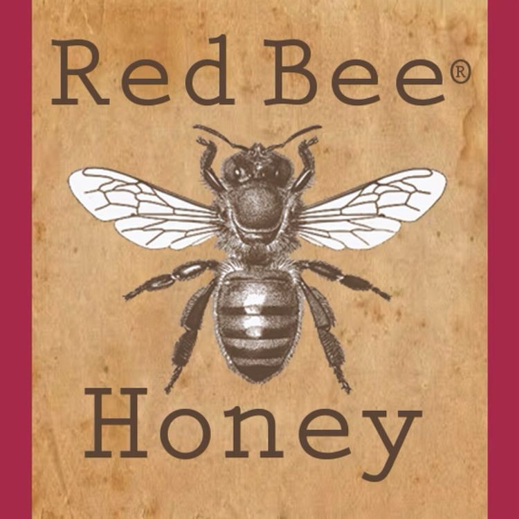 cover art for The Sweet Shift: How Spotted Lanternflies Are Changing Connecticut Honey