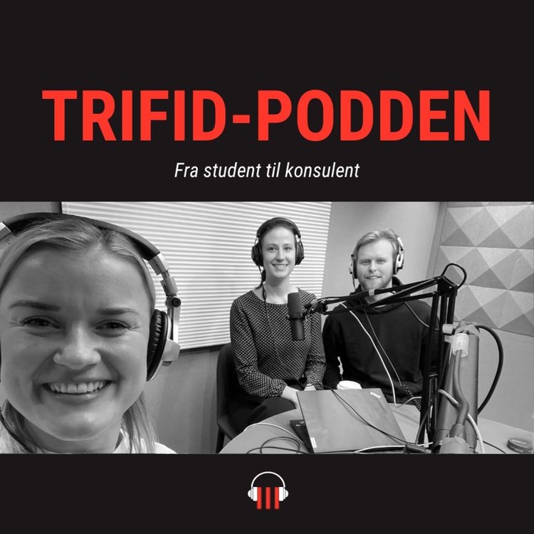 cover art for #6 Fra student til konsulent