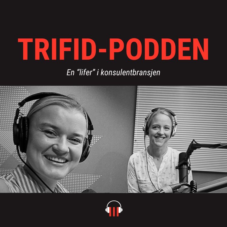 cover art for #8 En "lifer" i konsulentbransjen