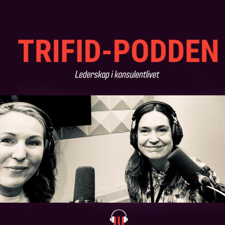 cover art for #9 Lederskap i konsulentlivet