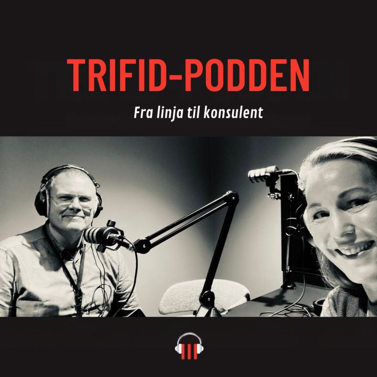 cover art for #11 Fra linja til konsulent