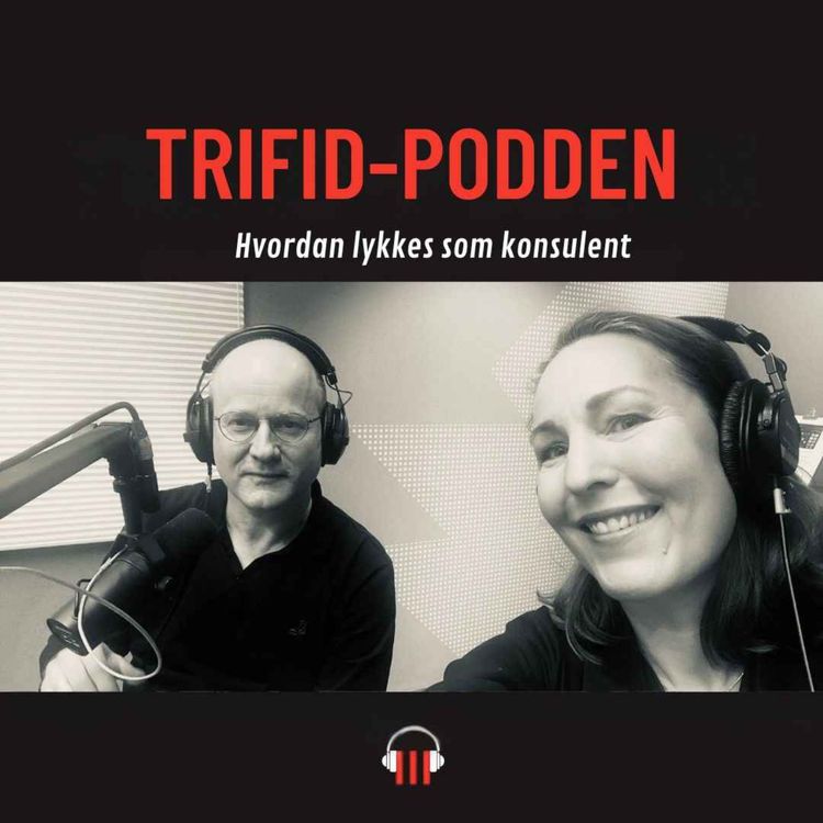 cover art for #13 Hvordan lykkes som konsulent