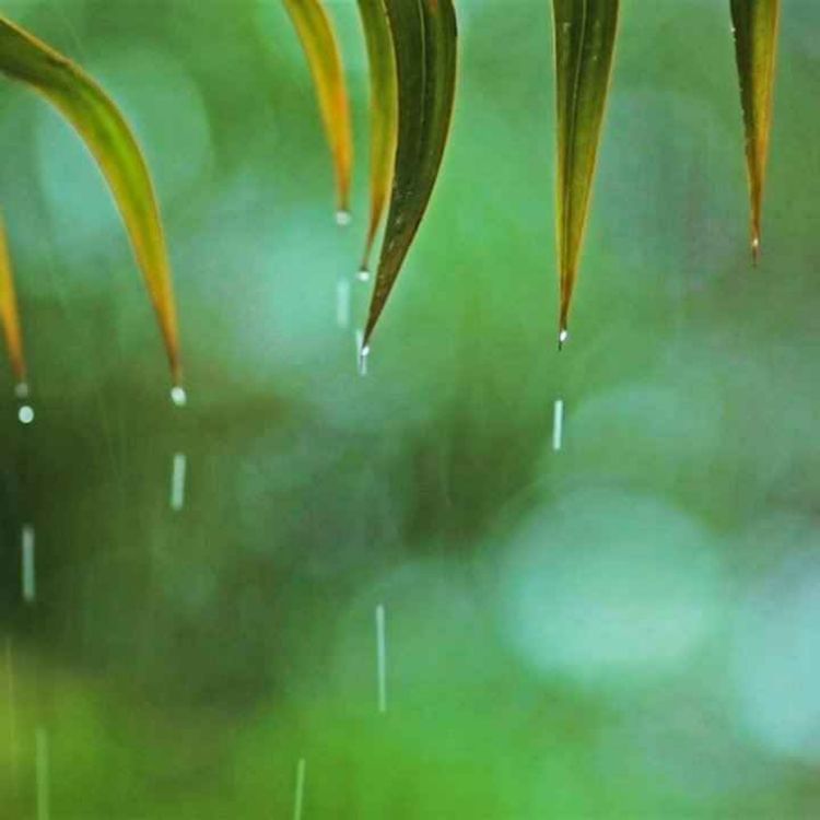 cover art for Peder B. Helland - You & Me