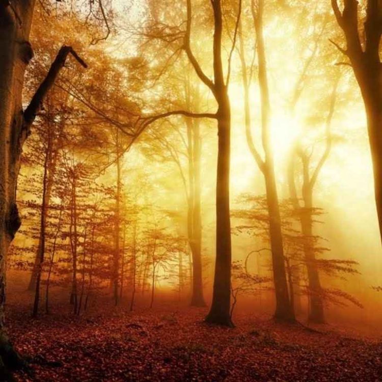 cover art for Peder B. Helland - Warm Light