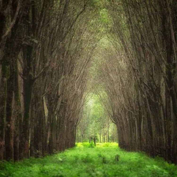 cover art for Peder B. Helland - Sunny Days