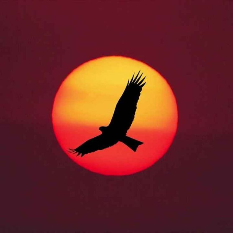 cover art for Peder B. Helland - The Eagle