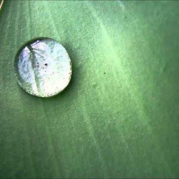 cover art for Soundsscape relaxing music - Nature Music - Stress Relief Music Chillout Naturally