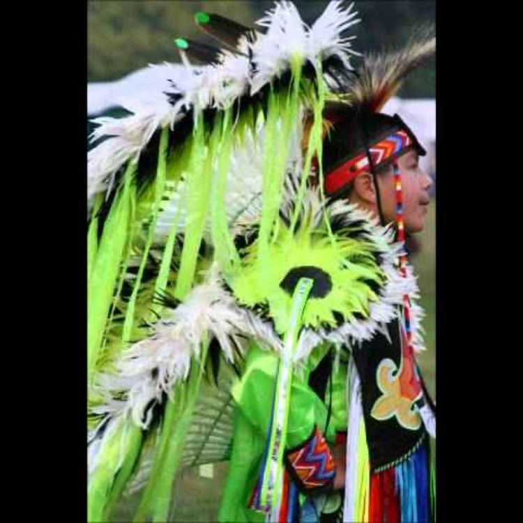 cover art for American native - Modern American Native Indian Music, Music for Depression