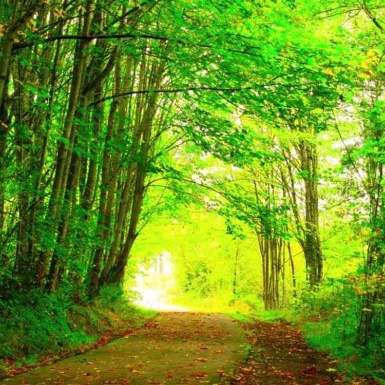 cover art for Peder B. Helland - Happy Times