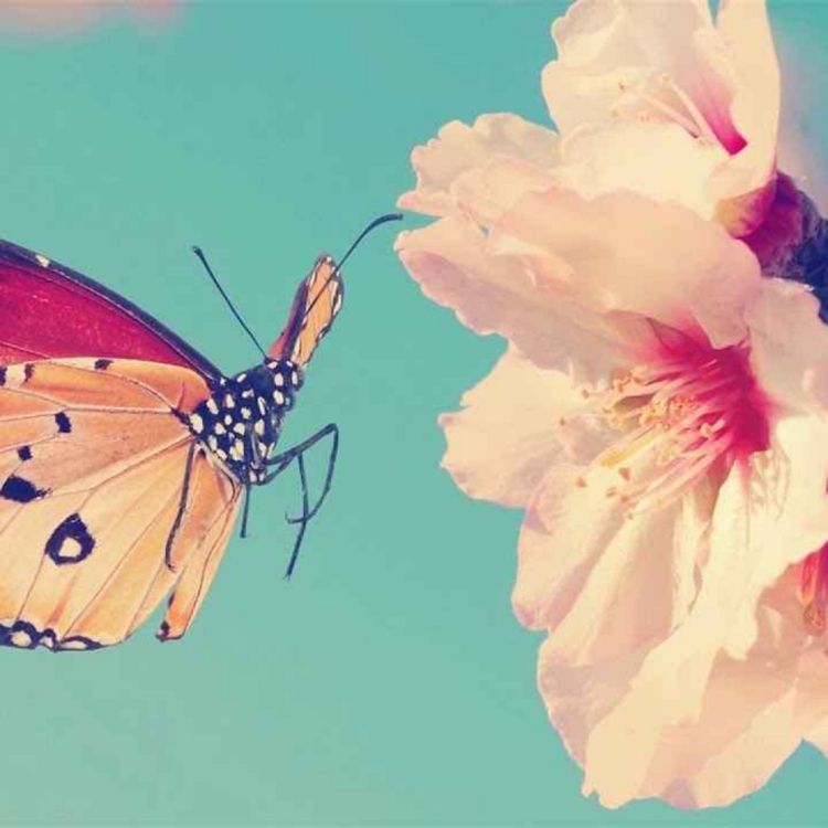 cover art for Peder B. Helland - Our Future