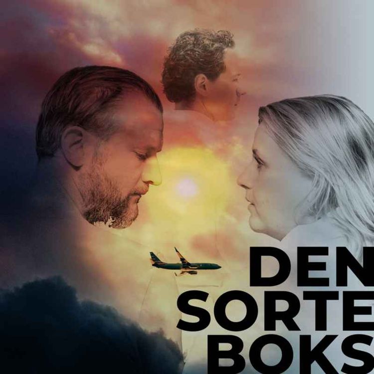 cover art for Den sorte boks (2:3)
