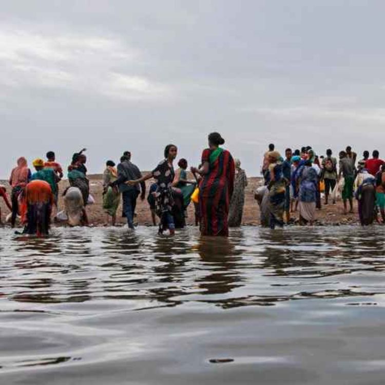 cover art for Saudi Arabia Mass Killings of Migrants at Yemen Border Systematic Abuses of Ethiopians May Amount to Crimes Against Humanity