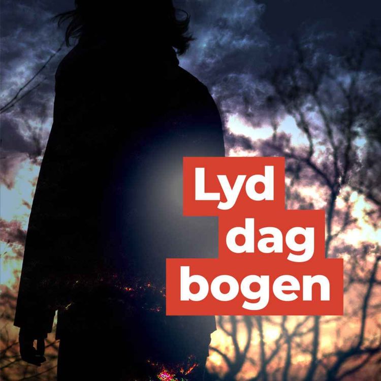 cover art for Lyddagbogen Jonas 1:2 - En plads i mylderet