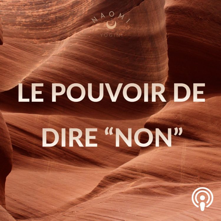 cover art for LE POUVOIR DE DIRE "NON"