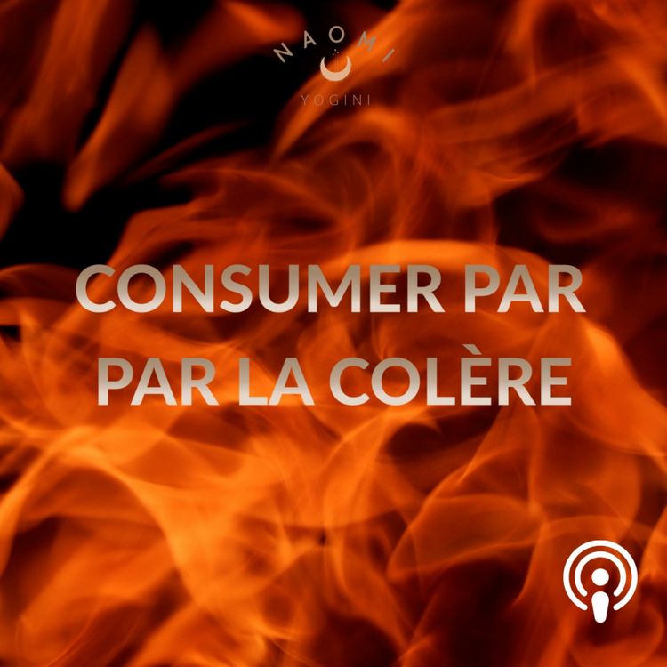cover art for LA COLÈRE
