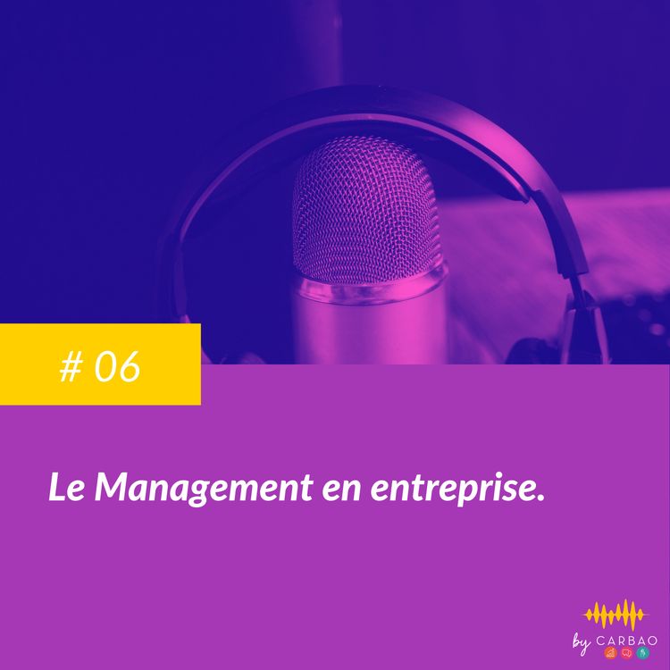 cover art for Le Management en Entreprise