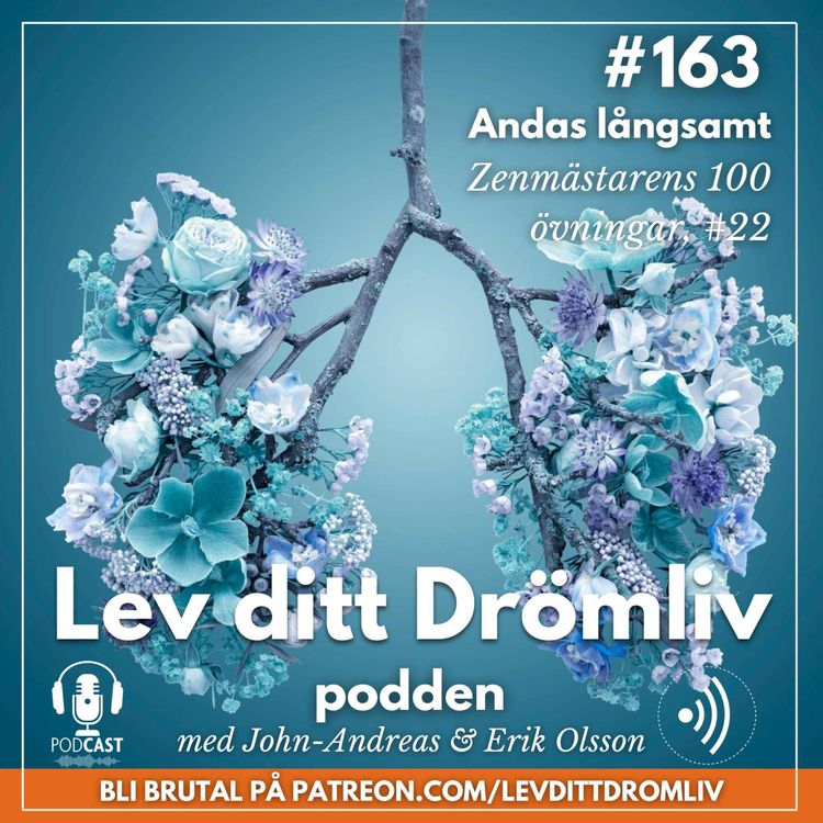 cover art for Avsnitt 163: Andas långsamt