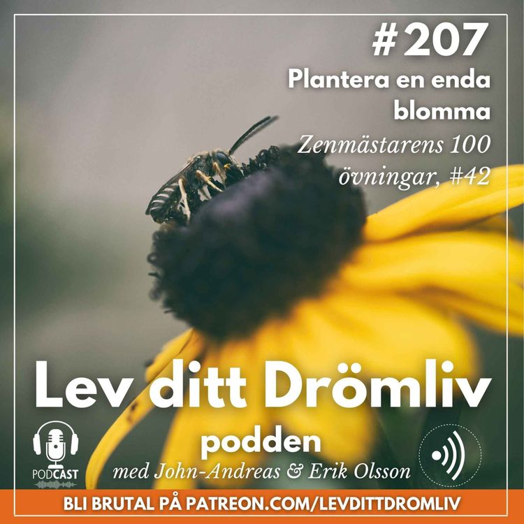 cover art for Avsnitt #207: Plantera en enda blomma