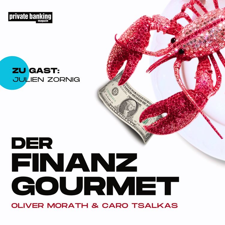 cover art for Auto ohne Lenkrad – Julien Zornig über die Kehrseite der Private-Equity-Demokratisierung