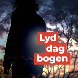 cover art for Lyddagbogen