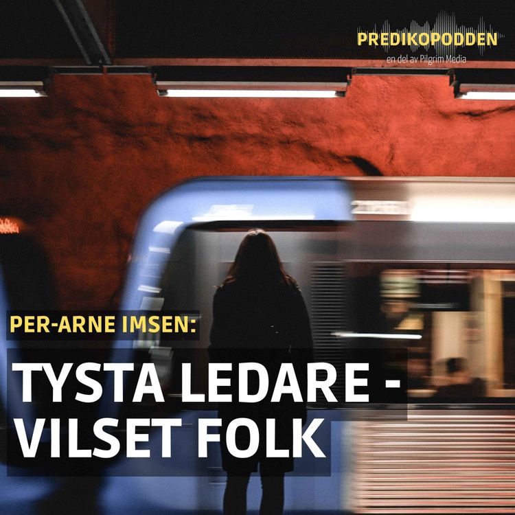 cover art for Tysta ledare, vilset folk - Per-Arne Imsen