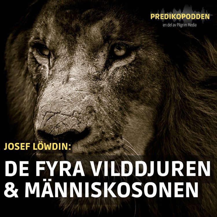 cover art for De fyra vilddjuren i Daniels profetia - Josef Löwdin