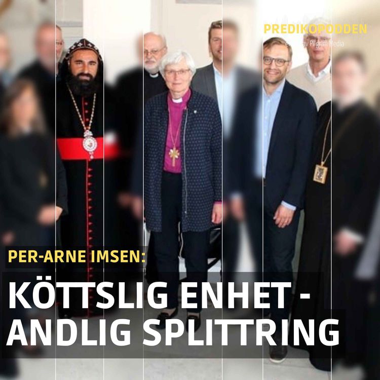 cover art for Köttslig enhet - andlig splittring - Per-Arne Imsen