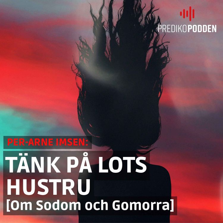 cover art for Tänk på Lots hustru - Per-Arne Imsen