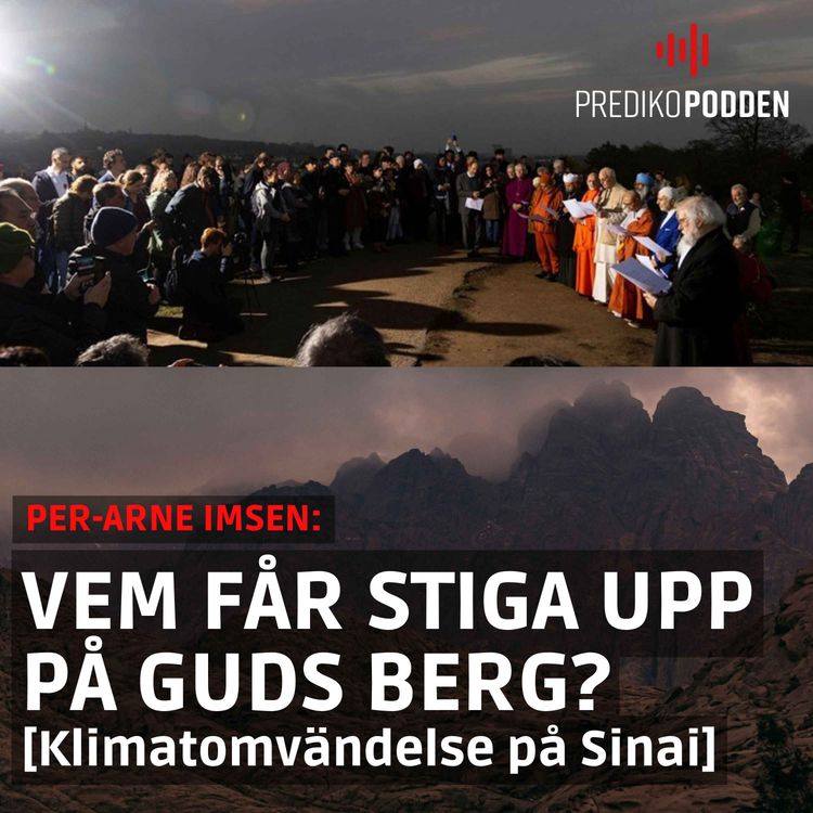 cover art for Guds heliga berg