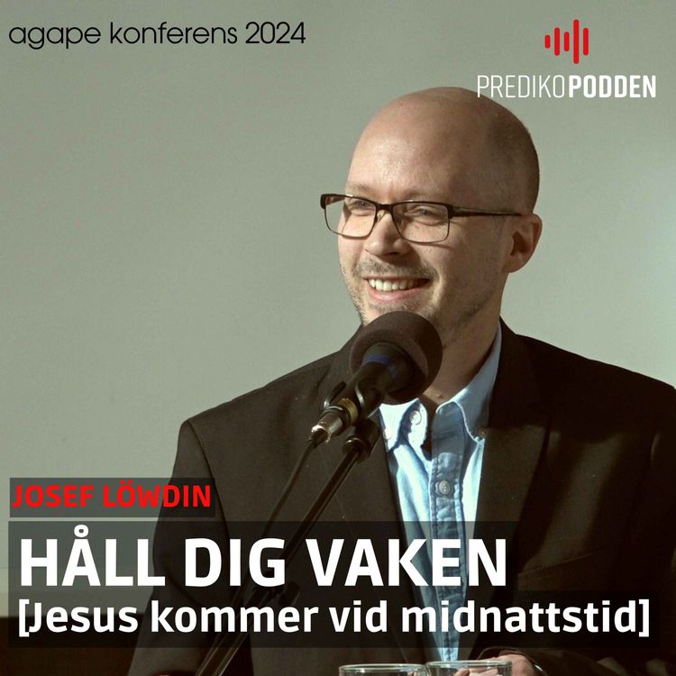 cover art for Håll dig vaken - Josef Löwdin