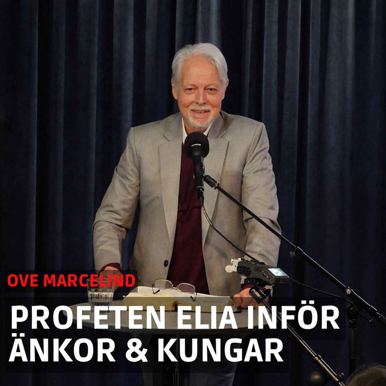 cover art for Inför änkor och kungar - Ove Marcelind