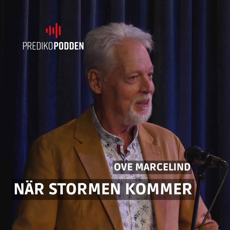 cover art for Jesus Stillar Stormar - Ove Marcelind