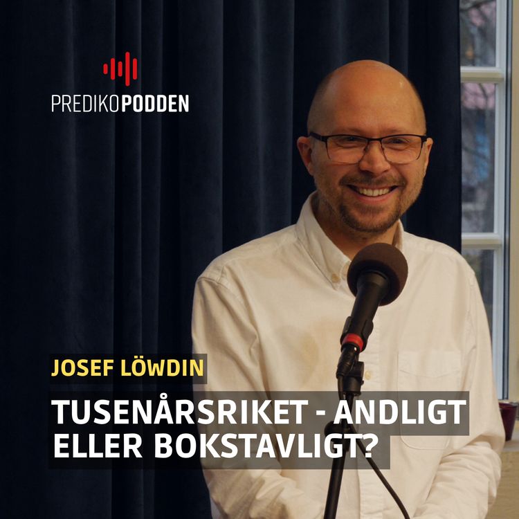cover art for Tusenårsriket - Josef Löwdin