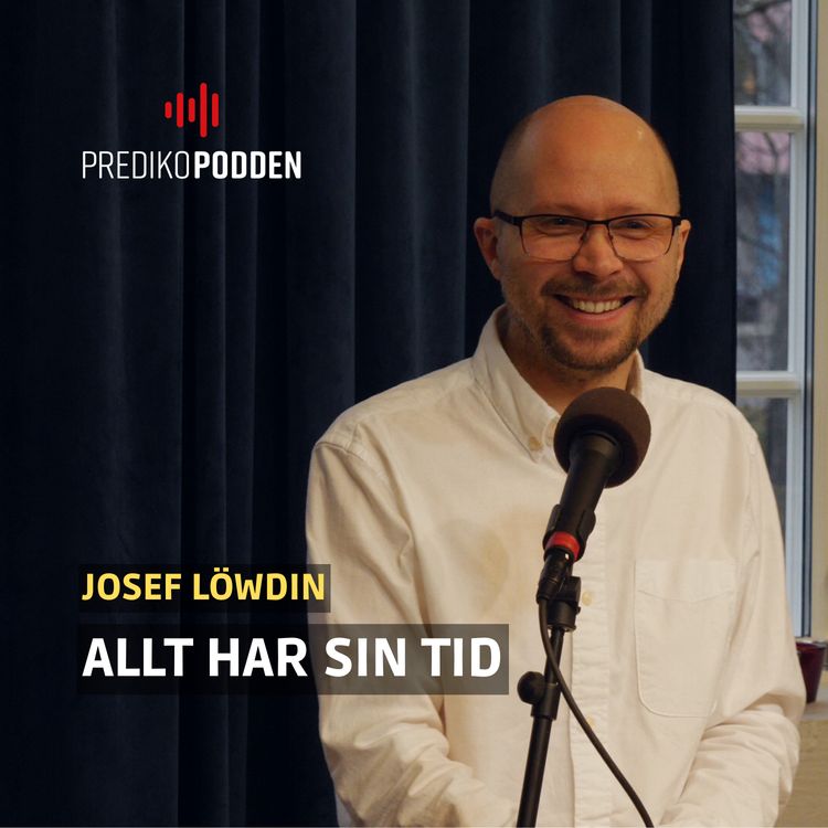 cover art for Allt har sin tid - Josef Löwdin