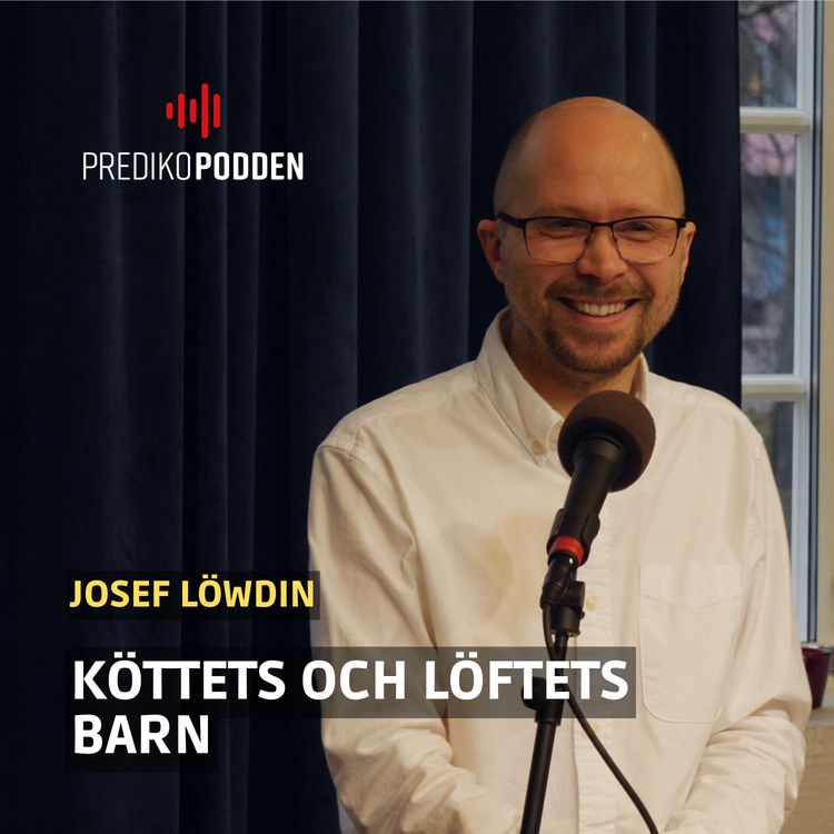 cover art for Köttets och löftets barn - Josef Löwdin