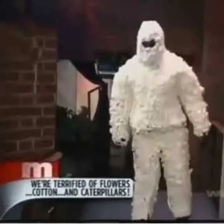 cover art for Maury: Weird Phobias! (Part One)