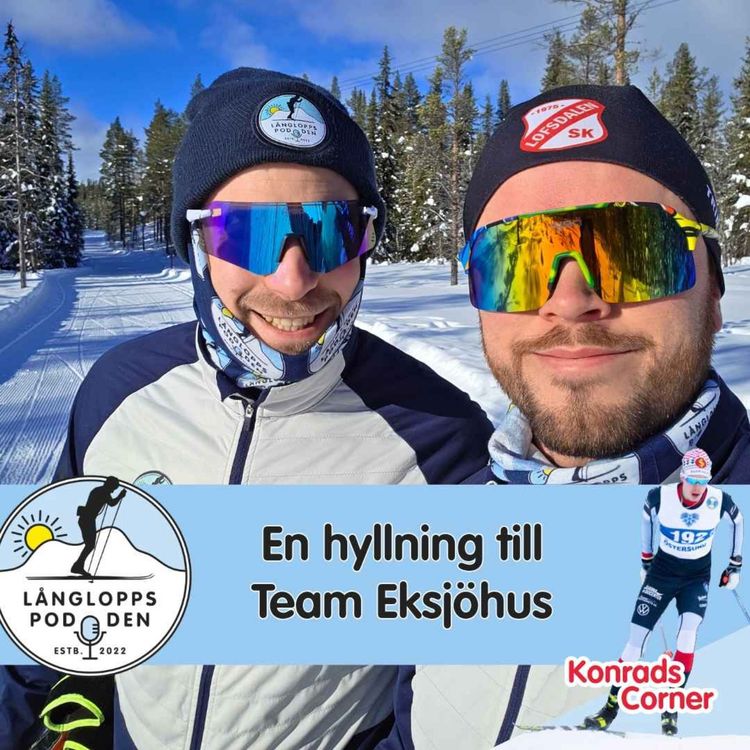 cover art for Avsnitt 164 - En hyllning till Team Eksjöhus
