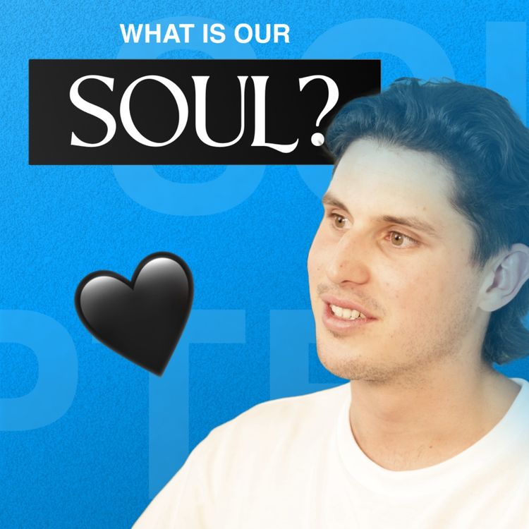 cover art for 4 Numpties try & figure out what a SOUL is...