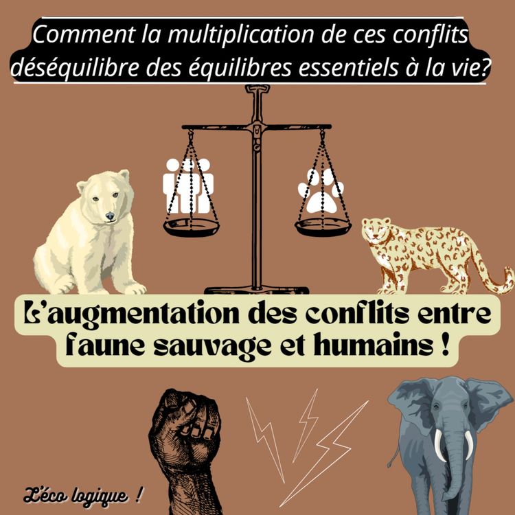 cover art for L'augmentation des conflits entre faune sauvage et humains !