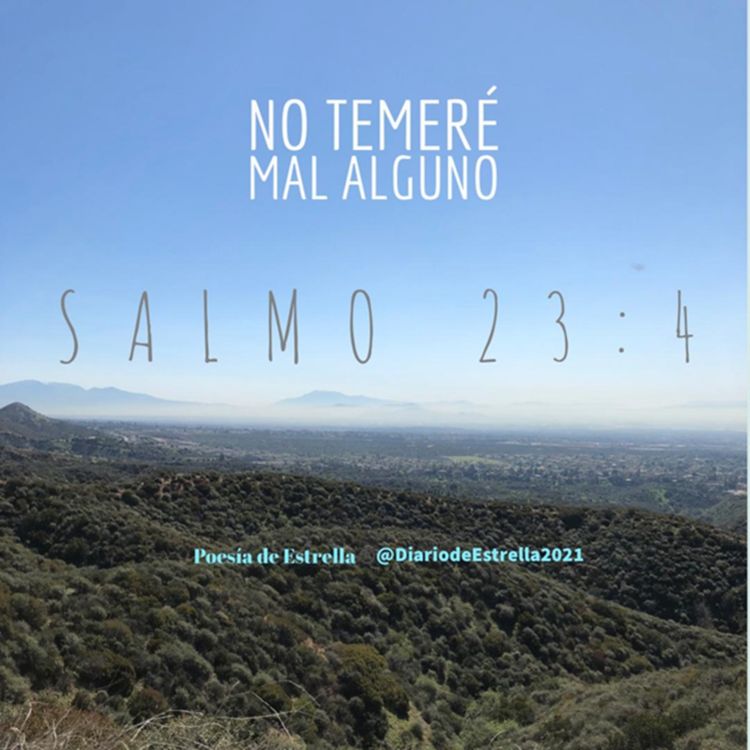 cover art for SALMO 23:4b NO TEMERE MAL ALGUNO. Devocional de Estrella