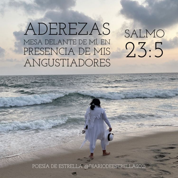 cover art for SALMO 23:5a ADEREZAS MESA DELANTE DE MI, EN PRESENCIA DE MIS ANGUSTIADORES. Devocional de Estrella