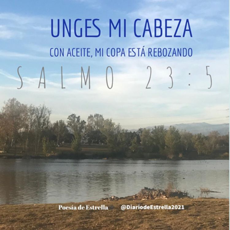 cover art for SALMO 23:5b UNGES MI CABEZA CON ACITE, MI COPA ESTA REBOZANDO. Devocional de Estrella